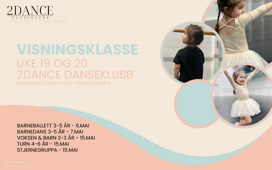 Visningsklasse